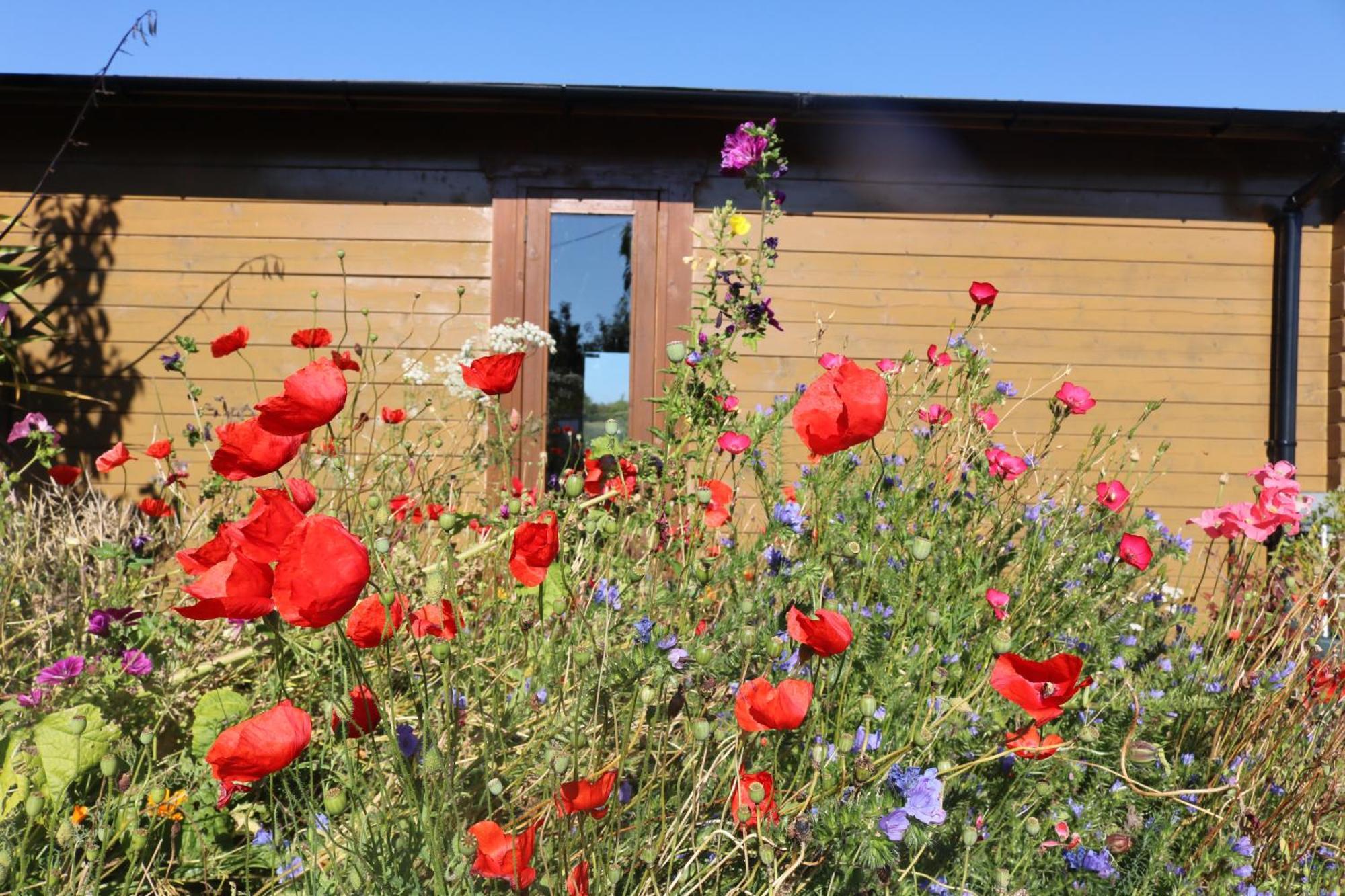 The Cabin Pipershill Newtownbutler Dış mekan fotoğraf